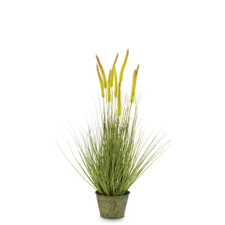 The Seasonal Aisle 70Cm Artificial Pampas Grass in Pot Wayfair.co.uk